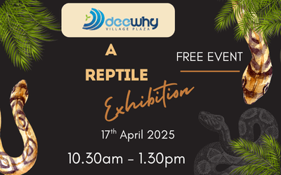 Live Reptile Exhibition at Dee Why Village Plaza! 